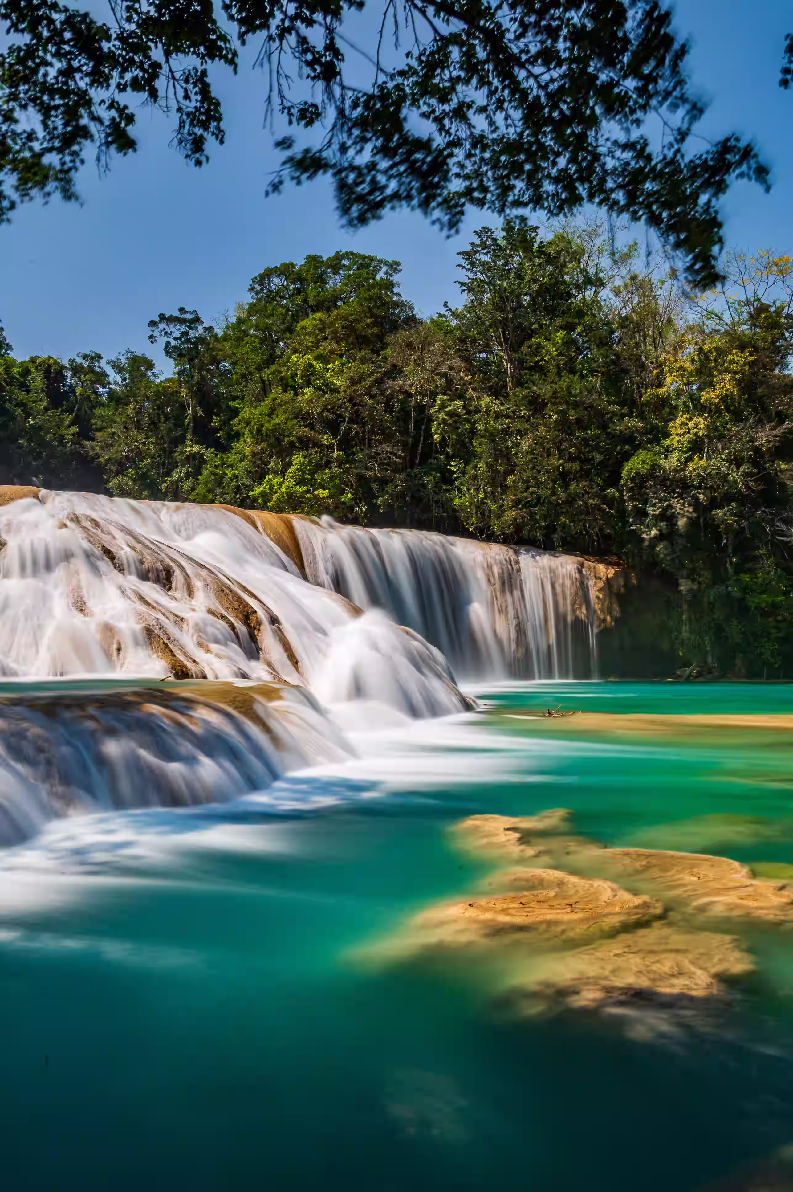 Arquitectura de la Zona Arqueológica de Palenque durante Chiapas Arqueológico