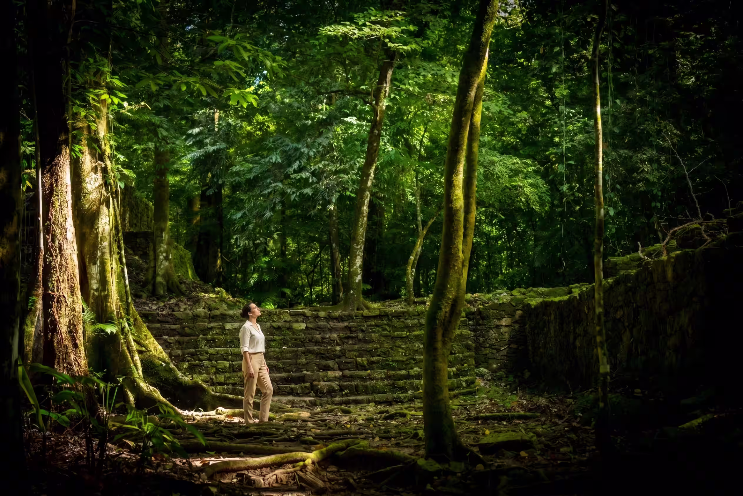 Caminata guiada por la Selva Lacandona cerca de Lacanjá